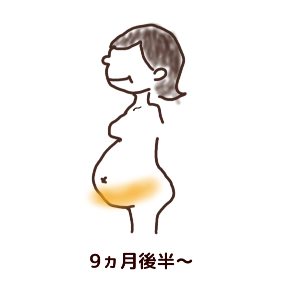 図：妊娠線対策のクリーム塗り位置（9ヵ月後半～）