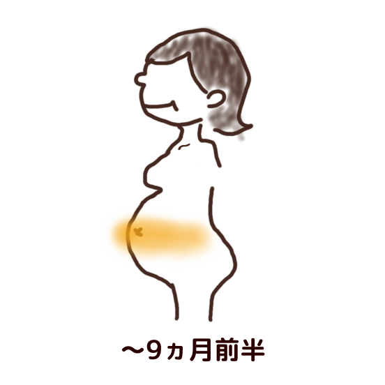図：妊娠線対策のクリーム塗り位置（～9ヵ月前半）