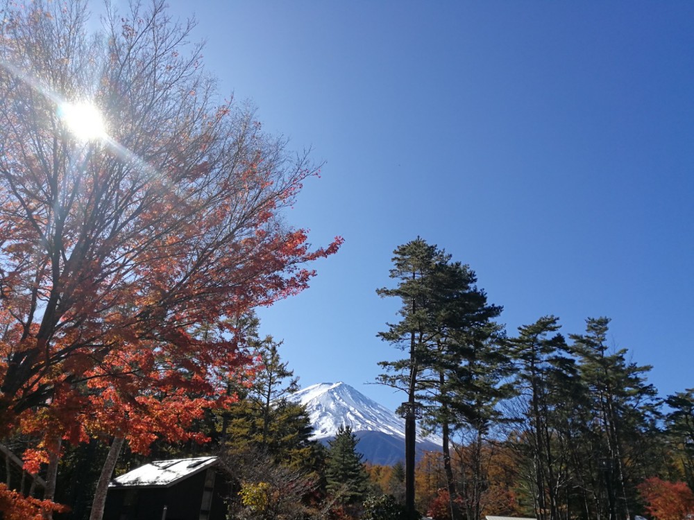 写真：「PICA fujiyama」敷地内から見える富士山